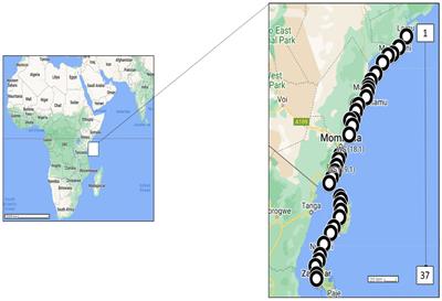 Prevalence and characterisation of microfibres along the Kenyan and Tanzanian coast